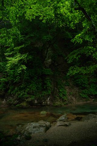 7d9cf8bfe0ee8210bf2936847504a498