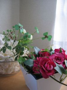 5cb736cd29b818fec591b12eae9ff840