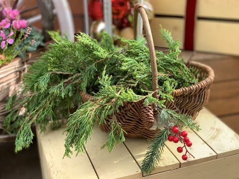 8e63596689494217d245a624aa8ffa0c