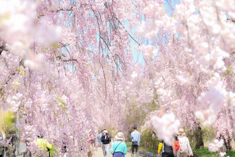 A120c2f0626f8517d31f298abfe5938d