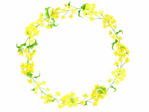 C65321986b65931ee8627fa3e3626bfc