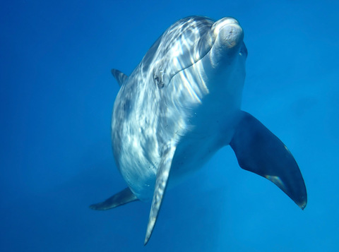 6150cda03d9ae47deb6ad0bd66a3c919