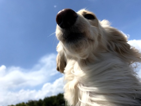 B2c51888a3d6f58845e3bbd12506c5b3