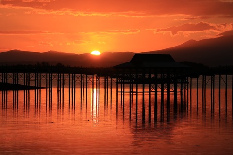 8d62a594097d1993de2199d88f3f0d8c