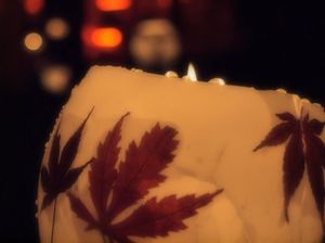 C6e370ee4f0740fbe96653461c8dca8d