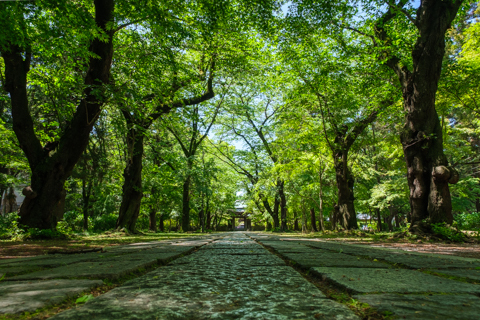 20e89a1650f7cba498e9e353cafdace1