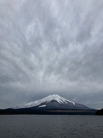 D562e16f5c29e4025e45e3e6e9740569