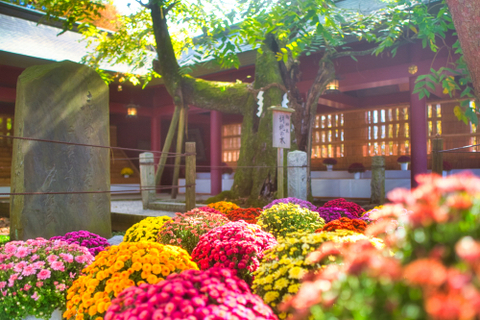 26854403ee811b5122db55584ffac847