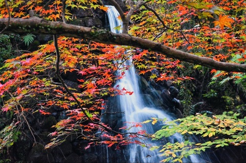 54ea6b0fd027f4ceff018bf4de8ac9bf