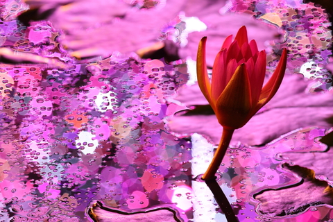 388d2b365dfab7ef84eaa9f79700fbcd