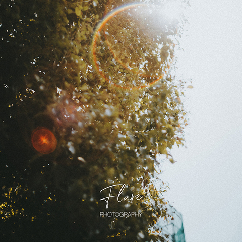 3c5b86d12e2916a6f37a9a7f37bec4bf