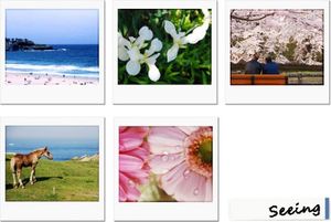 1f191ae46f243fe33c66e95aab6ab0f6