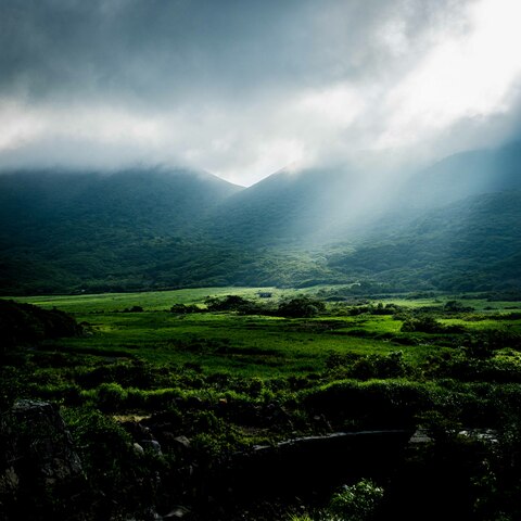 E88ec61560fe40ef166b2f5a1732c50d