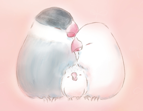 2402855f0a487b0d74c7e81e757b53e1