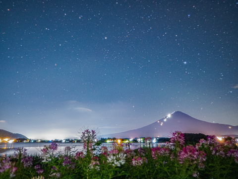 75a20a4a34aa41fb86d99bfa838df43b