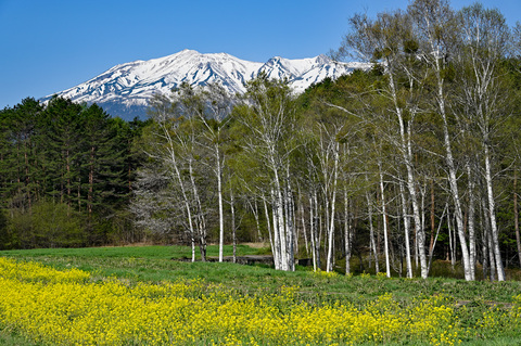 59c9200fa5f597613b8c2365d82ce718