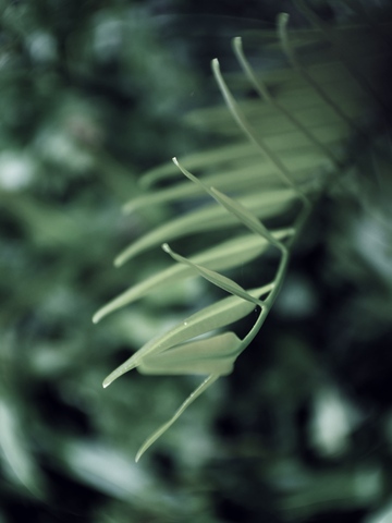 02ead740be9e20ce5fcb8d1cf9bdf305