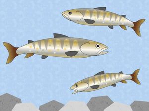 0c243d6507b12cbe8f0de58a5a073a5a