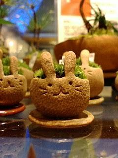 80347d16106793d03bcc7955fb107408