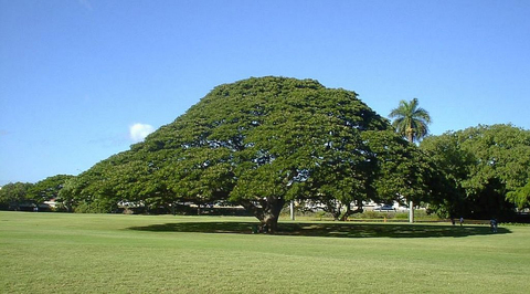 E24bd7ee00bd74cfed9b6699f7d9e12f