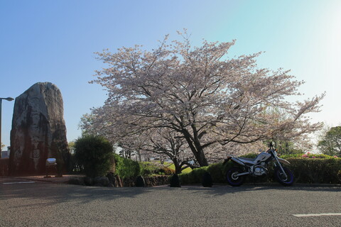 0ef990765845809181a5485d41a16dc4