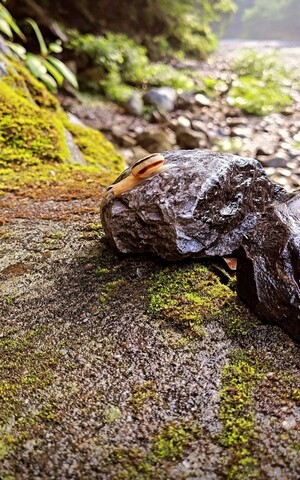 7c3ac67dda1dea31fb555a6931a37e1c