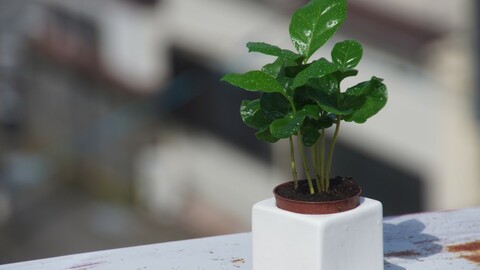 B52de2d1c21ab7e35e0ccf47c3b51930