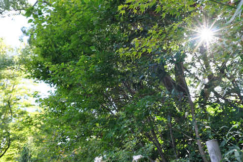 04dc28500f6e4c0e449ef19e47fb9acb