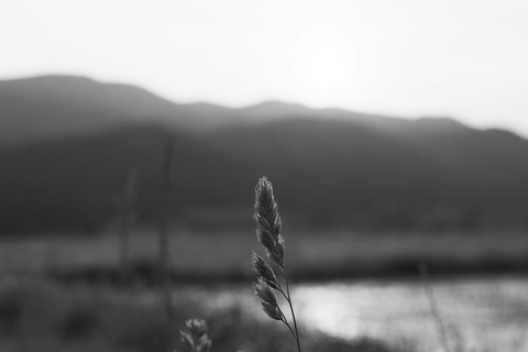 54ca00b69059cd7b964826dafe48fbc9