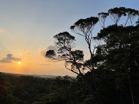 0fea8bbd99a16c801271bcf1b316e8ac