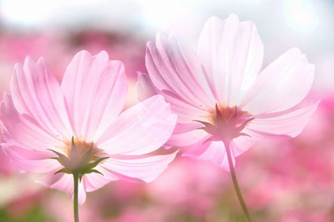 B194bda20b9f1dd0576118b042aabe9d