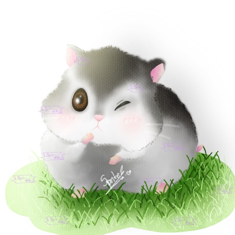 68762825667cd2e2d7fb30234505519d