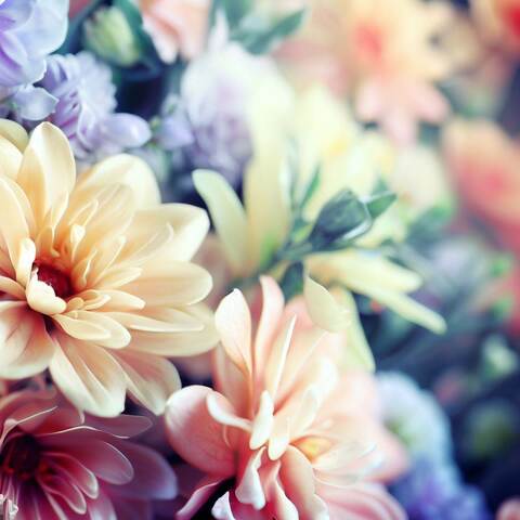 22114bf7c863b258f5f37f0bcb5429f4