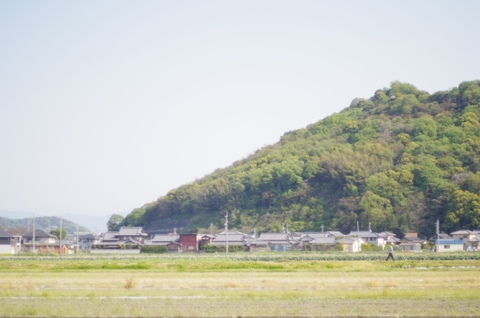 Ae4a8431d889fc719eec9ed49da194bd