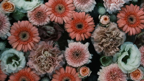 0809eefa6476cfc9d4c630f00f9f4fed