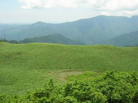 97c4f3c4043c7d5385854014026addc6