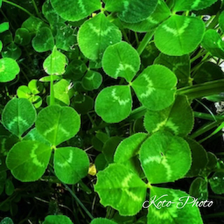 7d36b109c8c41704e337f4579b908761