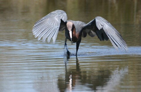 Ad5965ecdb6868a4dbb9c3e288daf483