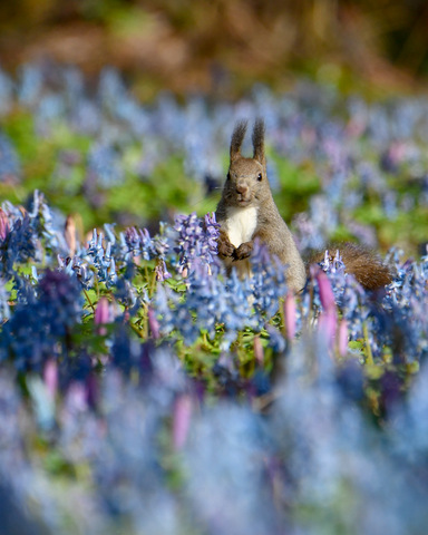 C9409b6cf249241e6901cdec6e5eeecc