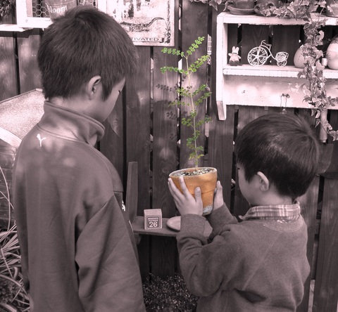 91ccbc31eedbff2e8cb858dc23970929