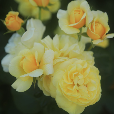 6b432b63e11f60f735659830d4eb5d61