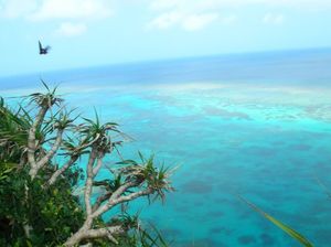 B029c378e05061b61497663e317d609d