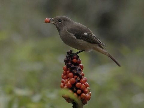 161a625968922b92b25d1c8128c26549