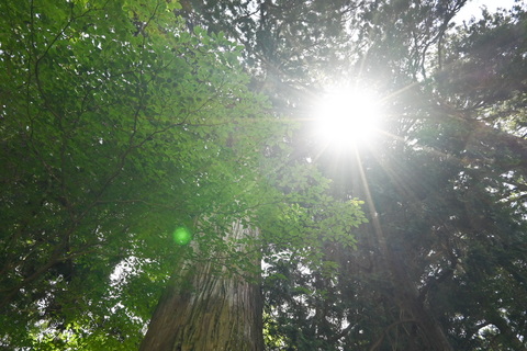 C2f1179bf83cd03e9c3f7f44a942d0b2