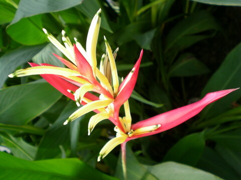 4b19cec15c179c4fb59e38b4a88d707d