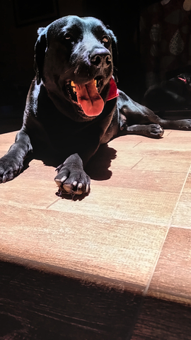 8e4c924b05a25b759bfb2b96eb495e31