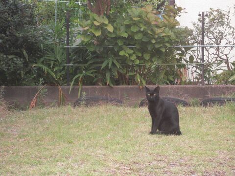 4e935b9971b1e593a75353d8aa0aafc5