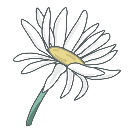 3d51b134c22ed8b7a5ad32739d84b76a