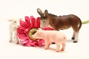 642a93f08423a3a3f05ec29f052c6986