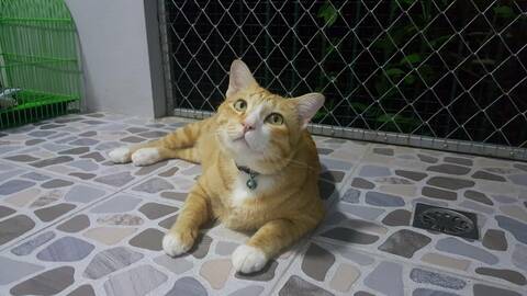 19572787f3ba5901c94d3e356b4ed0c1